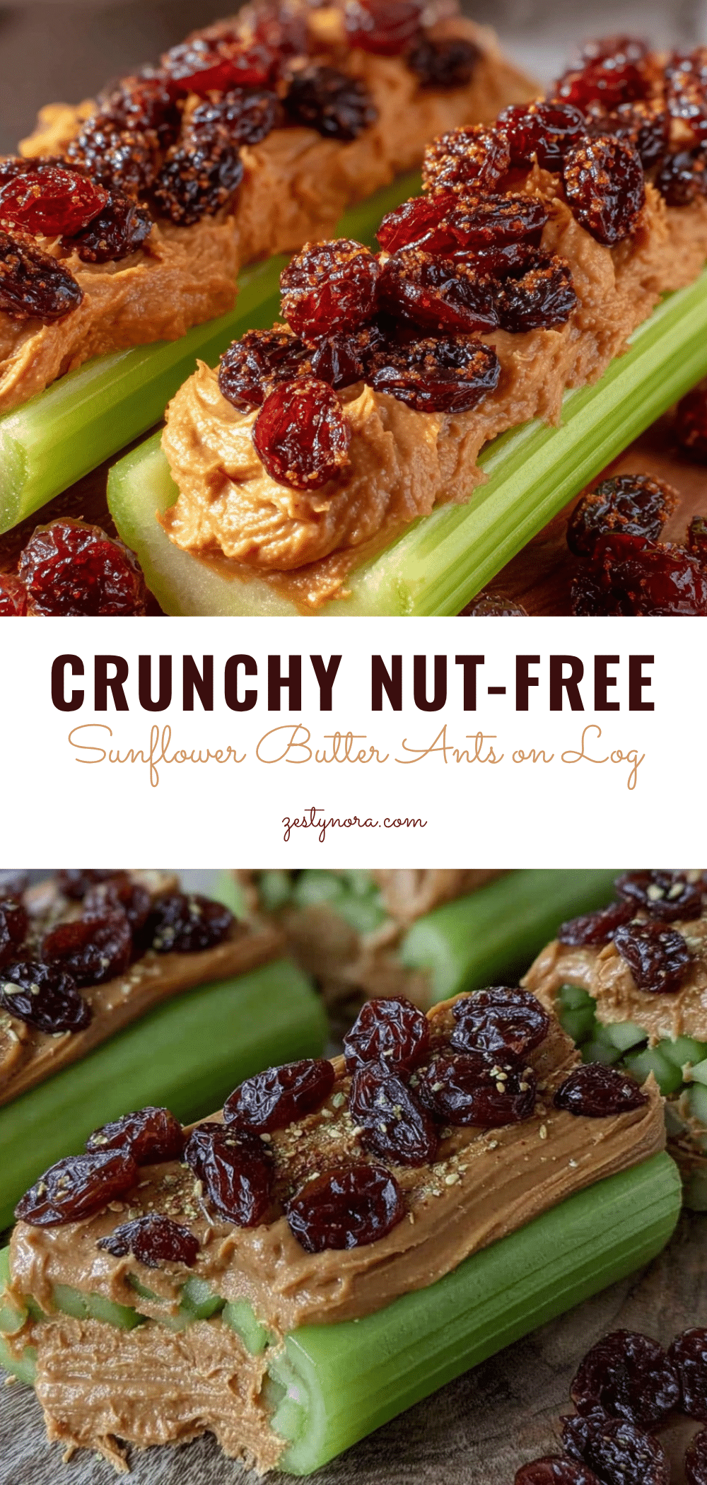 healthy nut-free sunflower butter ants on a log recipe