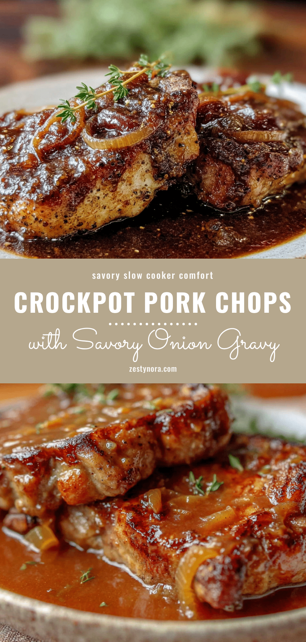 crockpot pork chops with onion gravy recipe