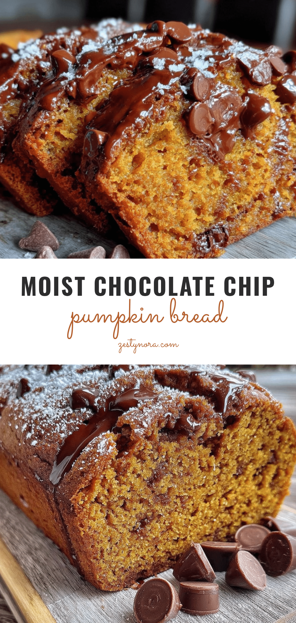 moist chocolate chip pumpkin bread recipe