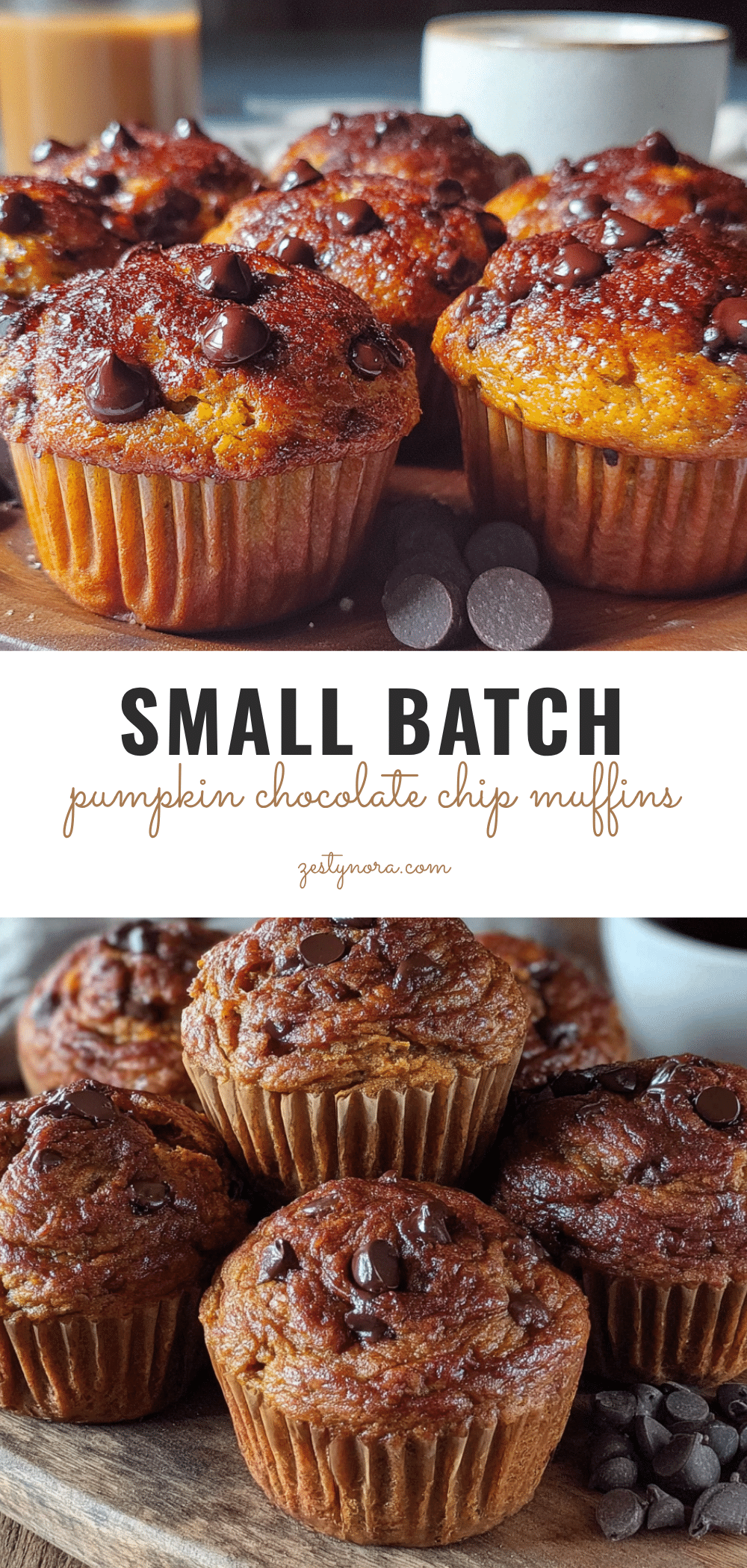 small-batch pumpkin chocolate chip muffins recipe