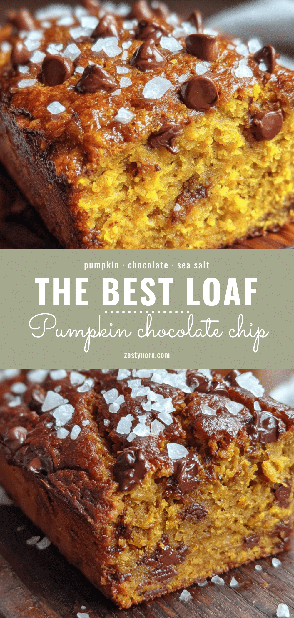 chocolate chip pumpkin loaf recipe