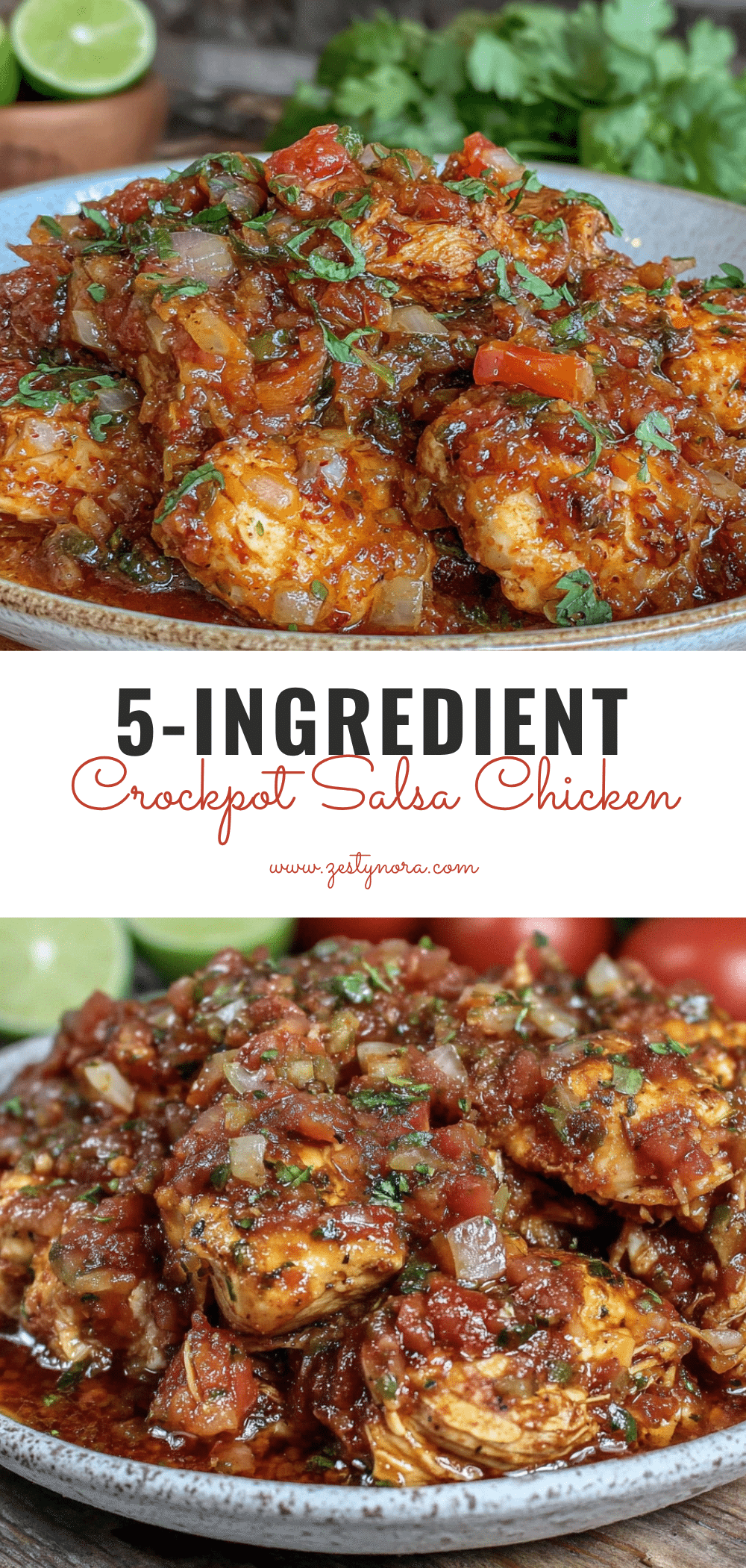 crockpot salsa chicken recipe