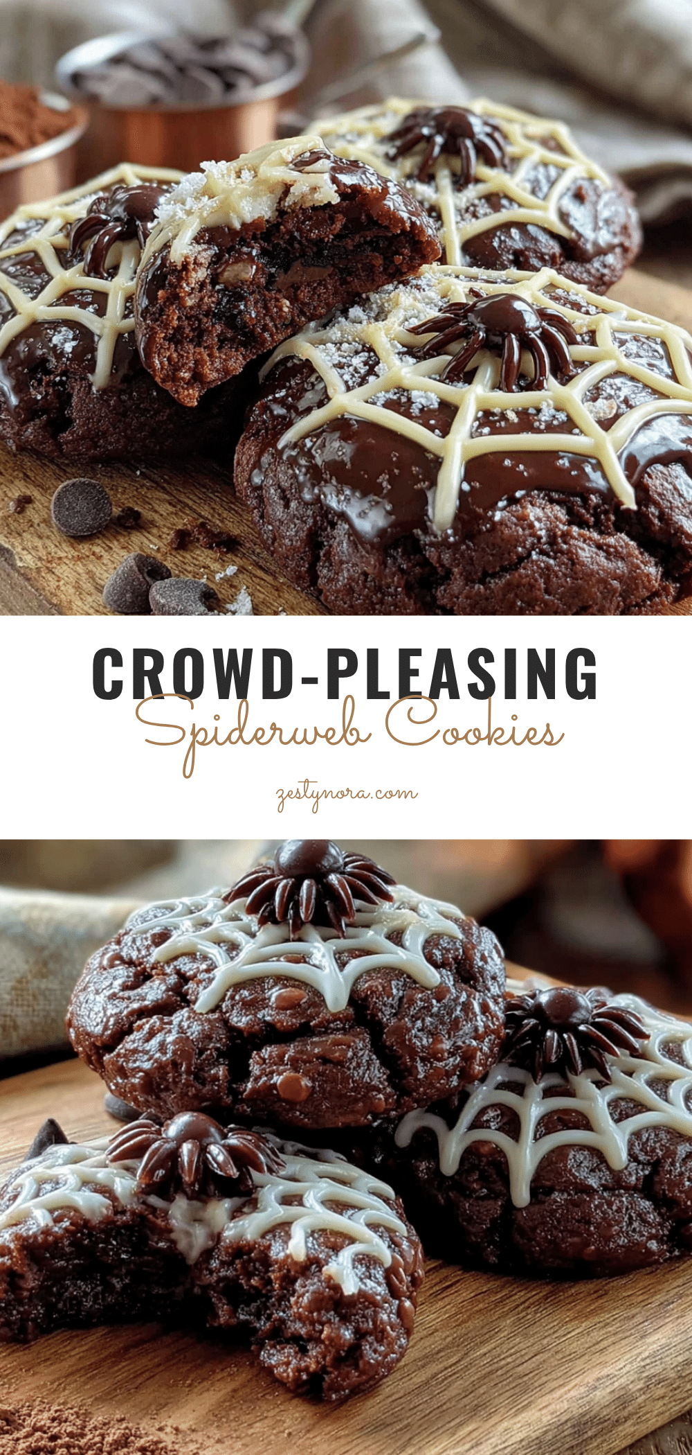 spiderweb chocolate spider cookies recipe