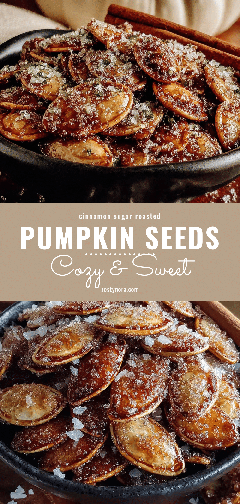 cinnamon sugar roasted pumpkin seeds recipe