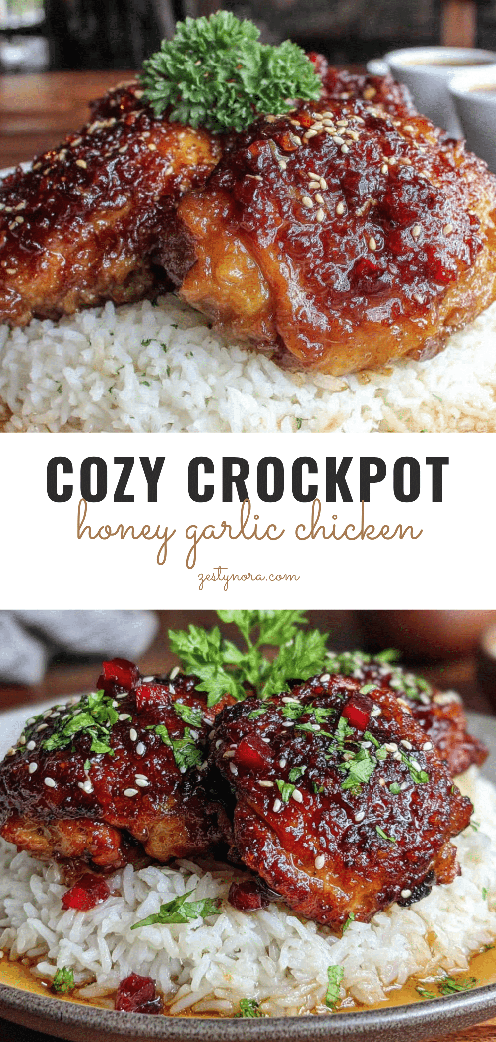 crockpot honey garlic chicken and rice recipe